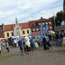 Hej Skövdebo! Är du också en osäker väljare?